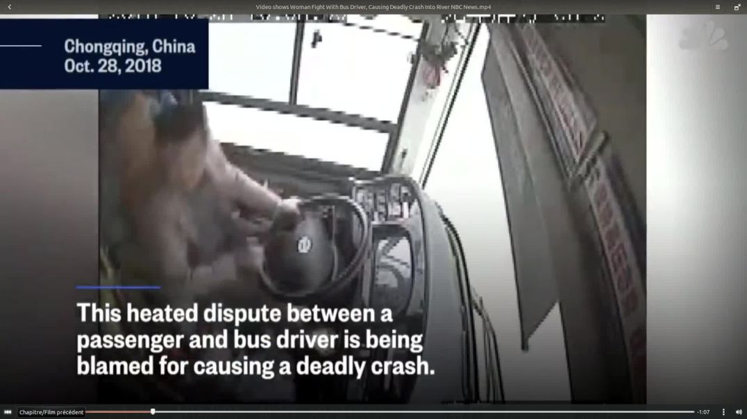 Woman Fights With Bus Driver, Causing Deadly Crash Into River...