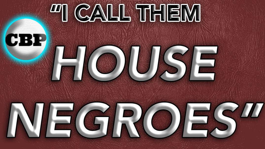 White Dude Calls  @Kevin Samuels   Supporters "House Negroes"