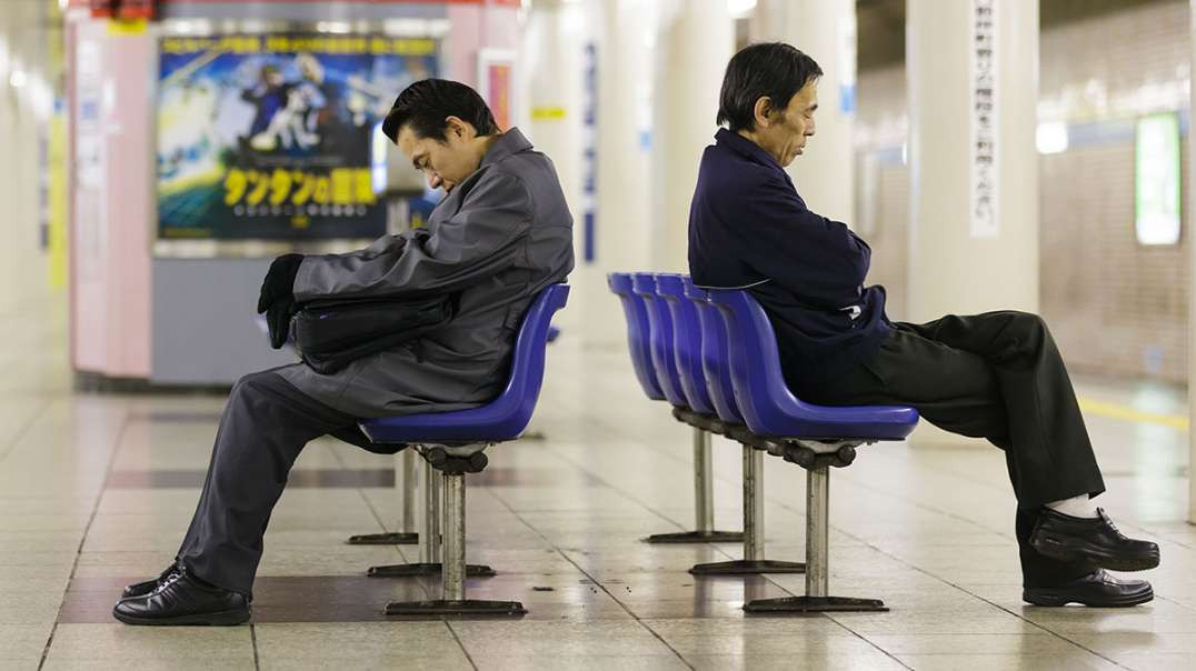 "NÃO QUERO VOLTAR PRA CASA" - O Dilema do Gado Japonês