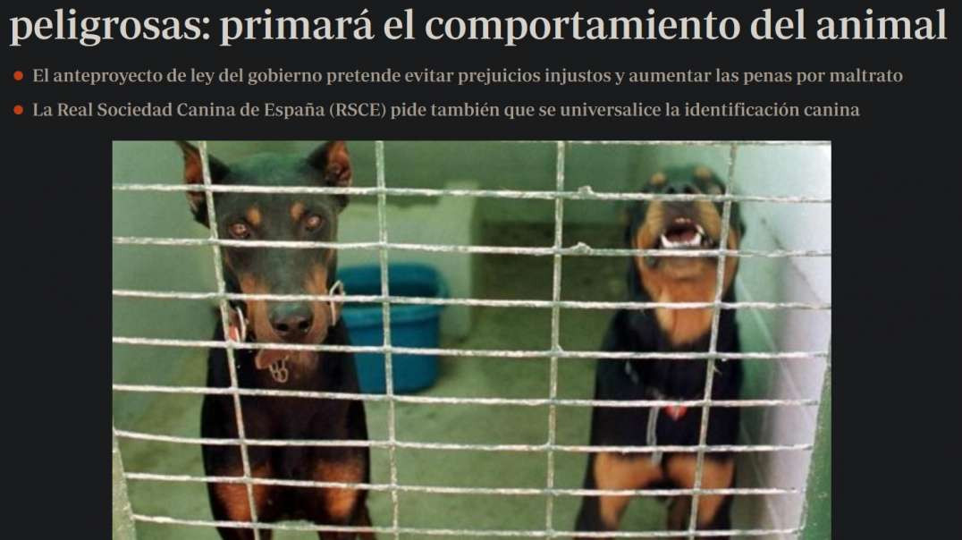 De ministras de mierda y hombres con menos derechos que los perros.