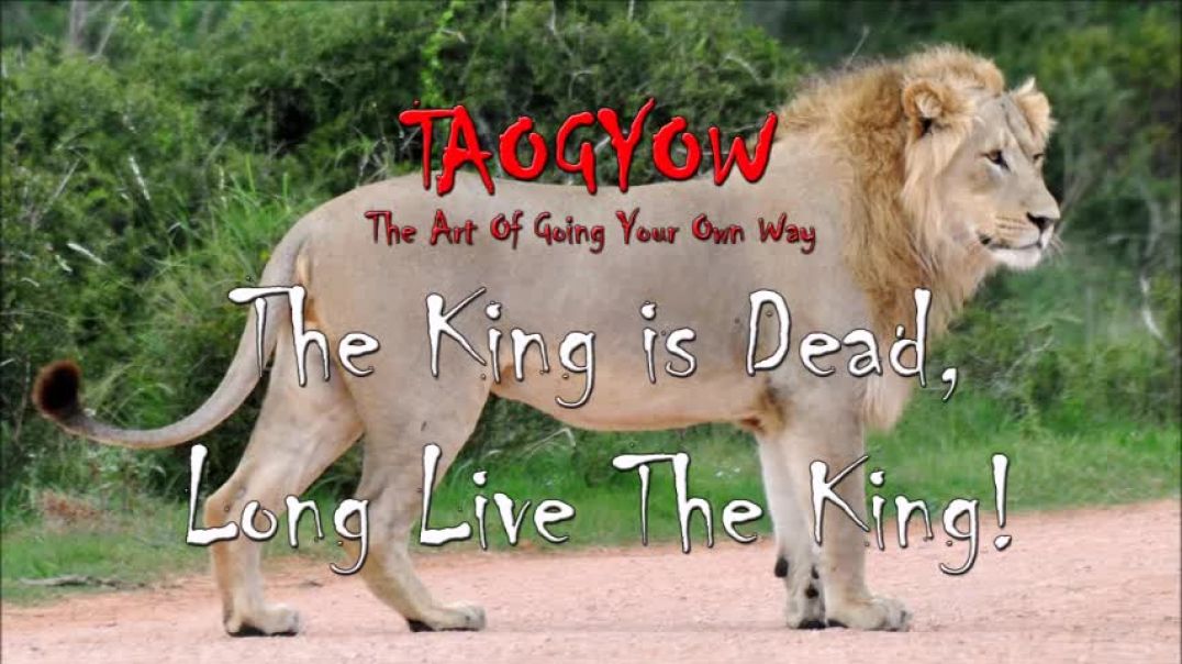 TAOGYOW - The King is Dead, Long Live The King!