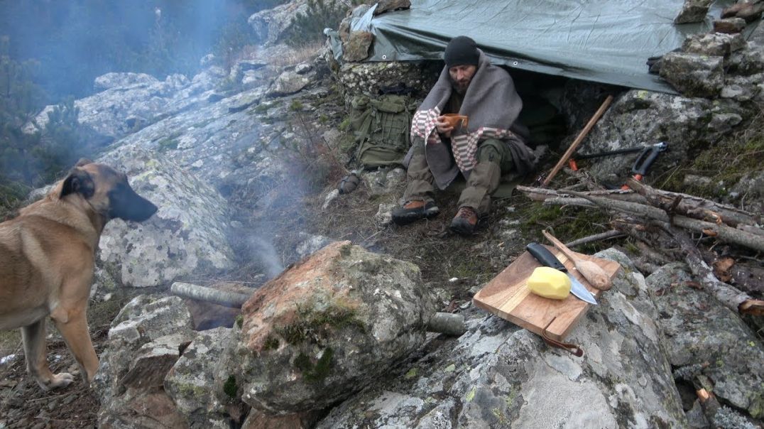 Emergency shelter built in 5 minutes, high on the mountains, primitive fire, cooking, bushcraft