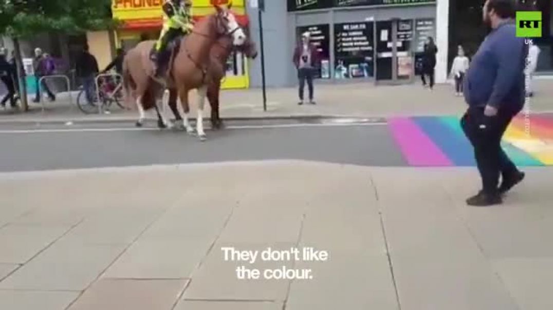 Police horses SPOOKED by LGBT crossing