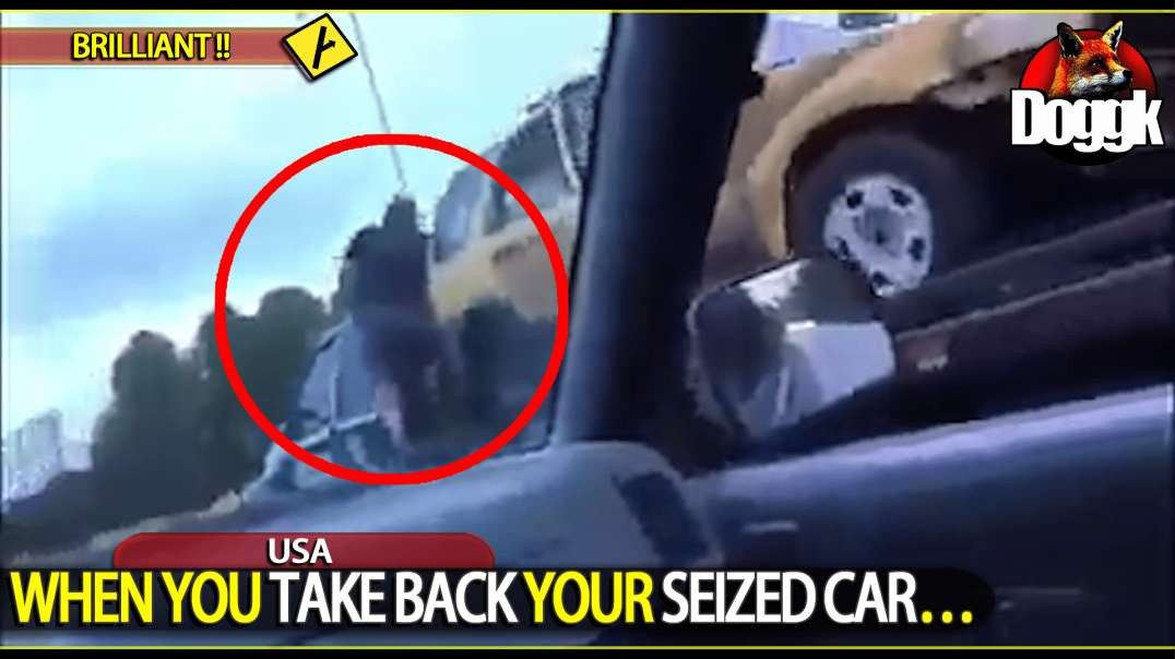 WHEN YOU TAKE BACK YOUR SEIZED CAR.. (USA)