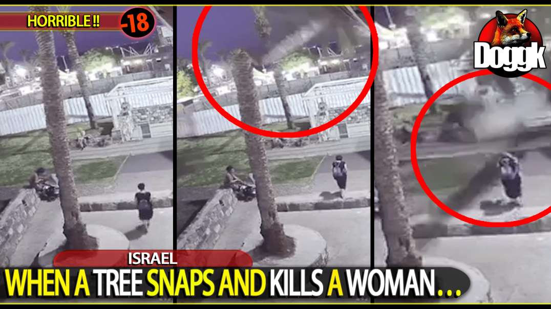 [+18] WHEN A TREE SNAPS AND KILLS A WOMAN.. (ISRAEL)