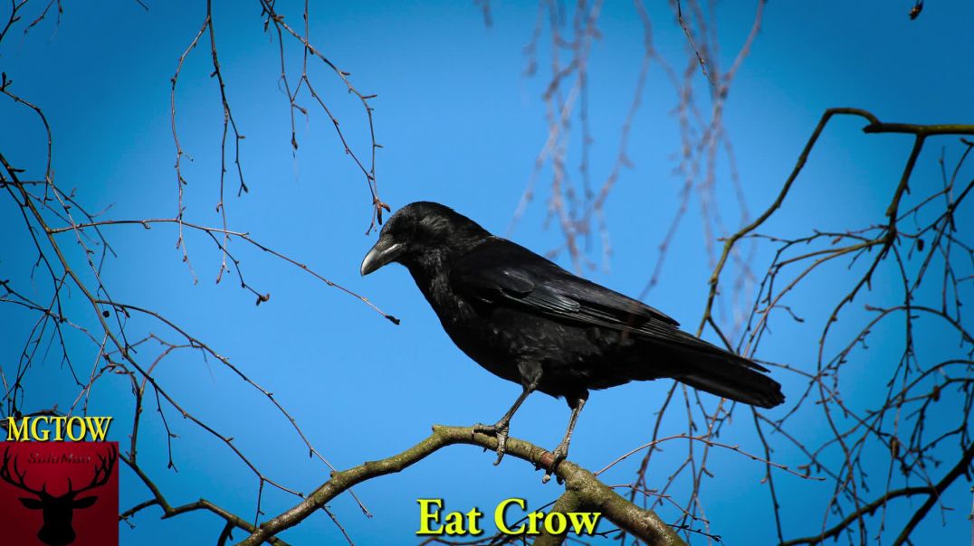 Eat Crow