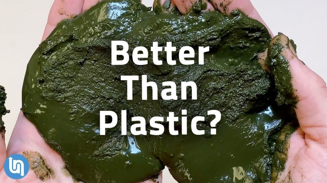 Why Algae Could be the Plastic of the Future