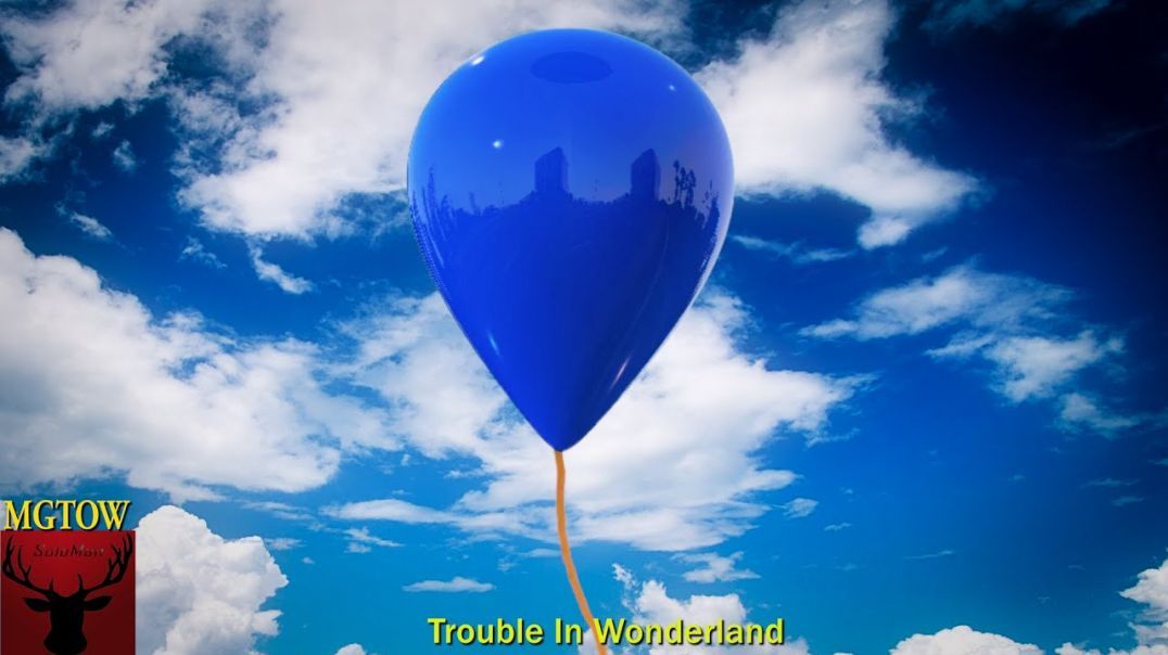 Touble In Wonderland