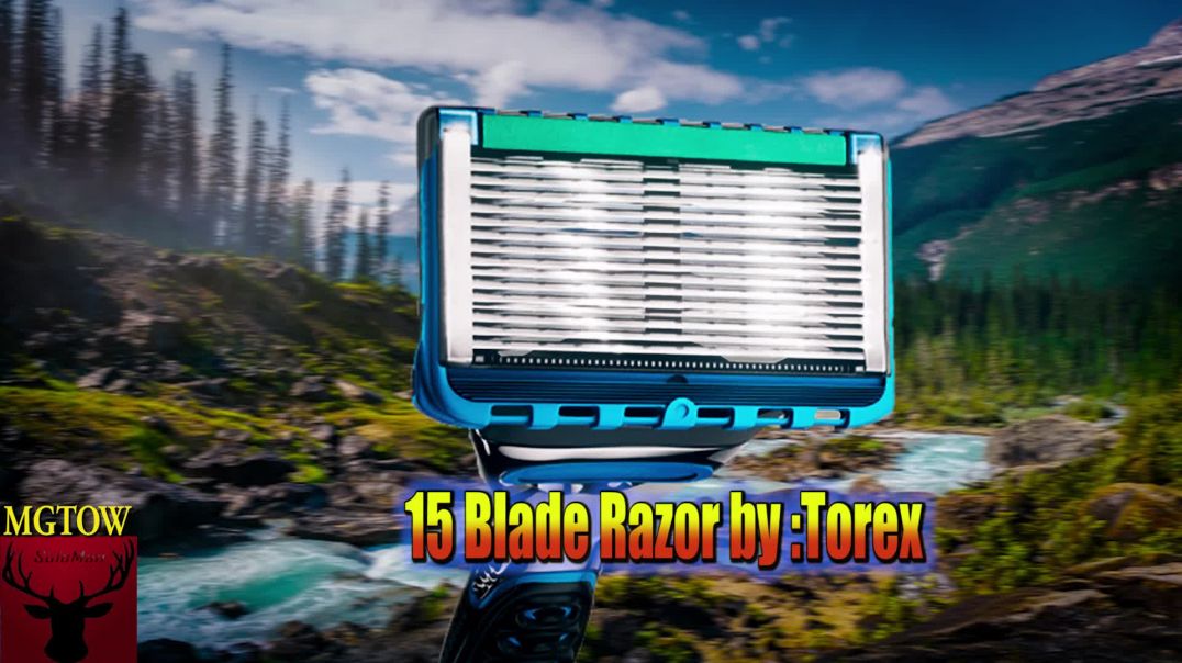 15 Blade Razor by Torex