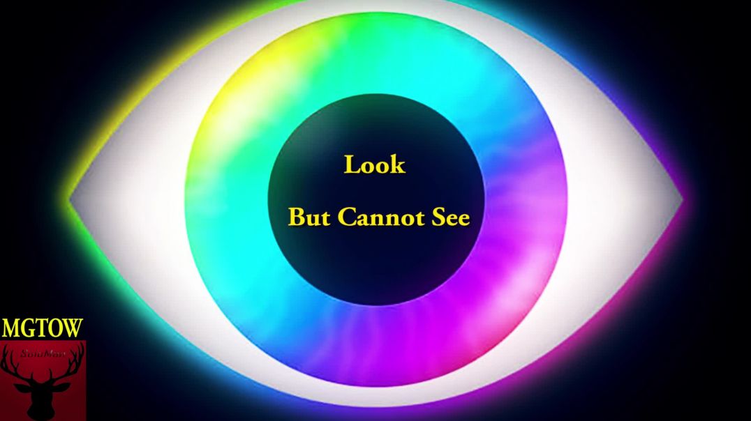 Look But Cannot See