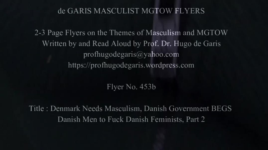 453b  Denmark Needs Masculism, Danish Government BEGS Danish Men to Fuck Danish Feminists, Part 2 (Masculism, MGTOW)