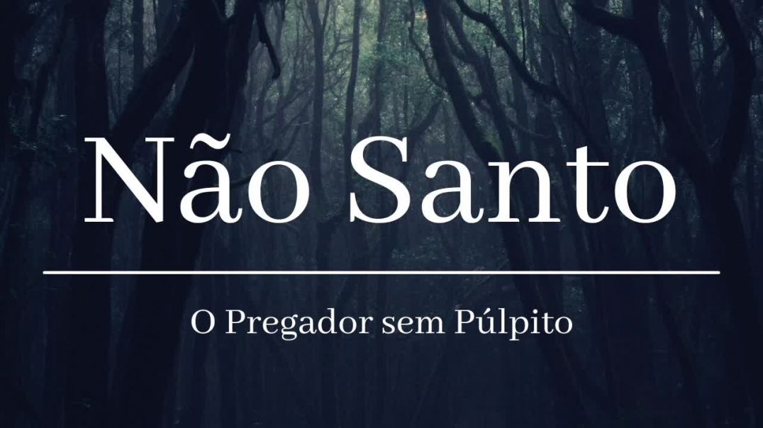 NÃO SANTO- LIVRO COMPLETO