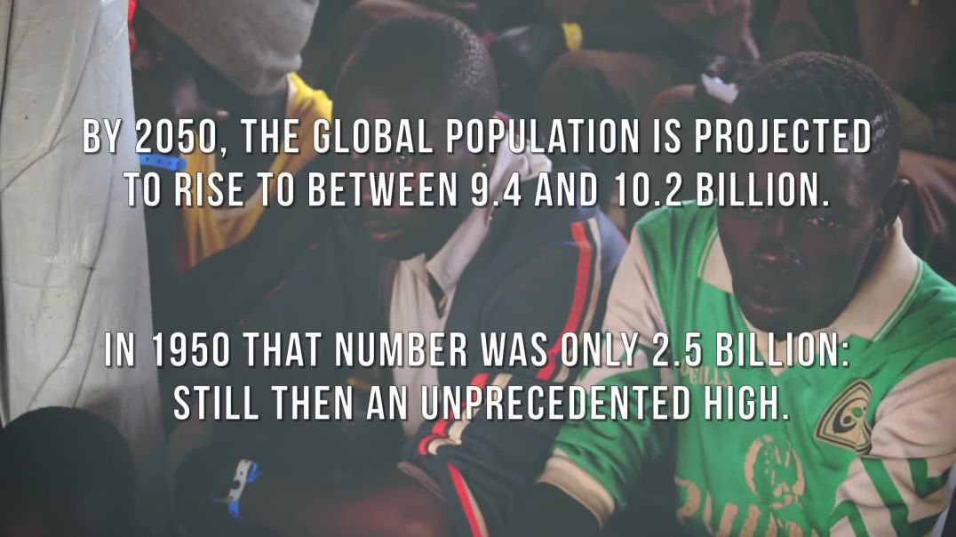 How Global Demographics Threaten to Transform the West