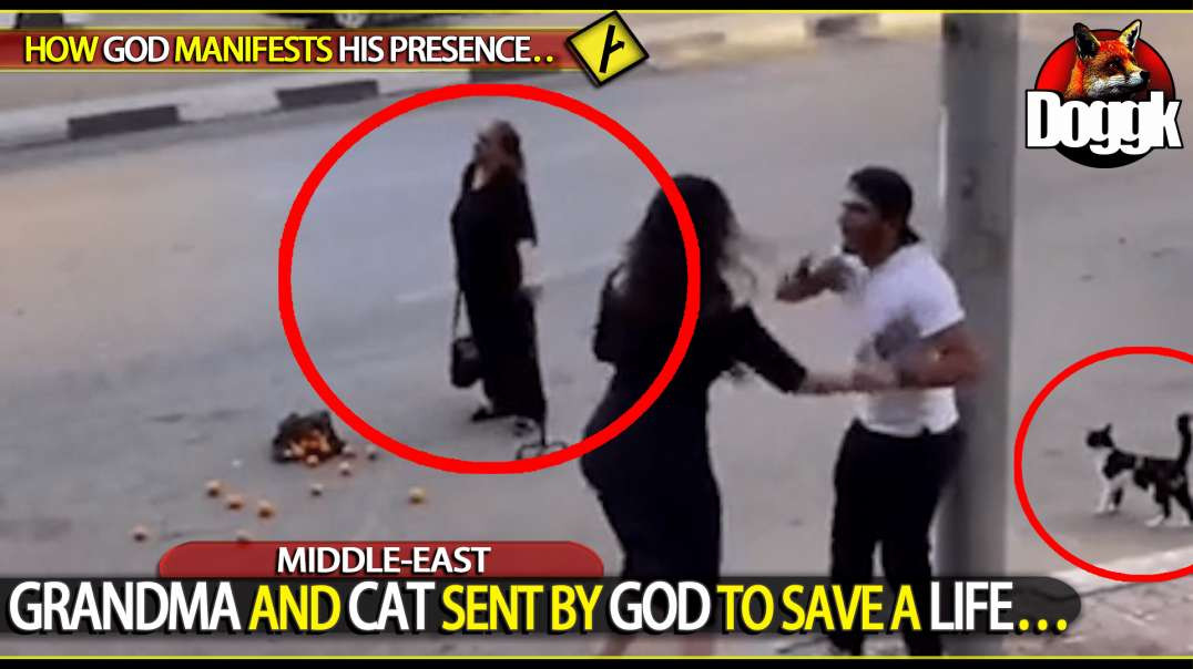 GRANDMA AND A CAT SENT BY GOD TO SAVE A LIFE.. (MIDDLE-EAST)