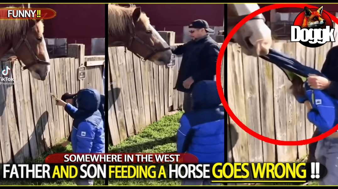 FATHER AND SON FEEDING A HORSE GOES WRONG... (SOMEWHERE IN THE WEST)