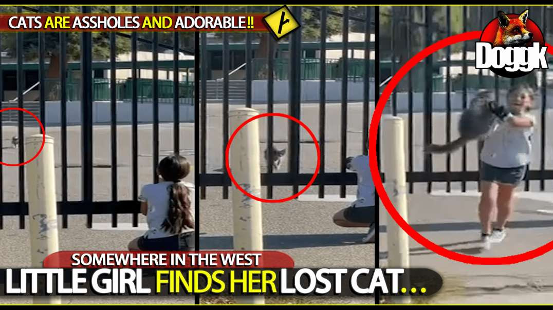 LITTLE GIRL FINDS HER LOST CAT.. [CAT'S ARE ASSHOLES AND ADORABLE !! ^^ ]