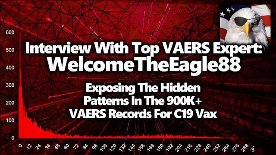 The Horrors Of The 900K+ VAERS Records For C19 Vaccine, WelcomeTheEagle88 Interview