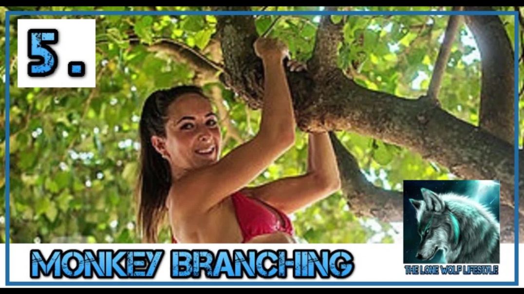 Monkey Branching - Episode 5