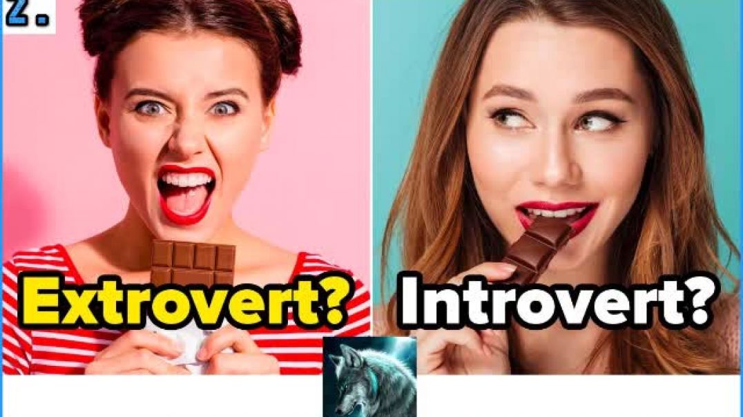 Extroverts and Introverts - Episode 2