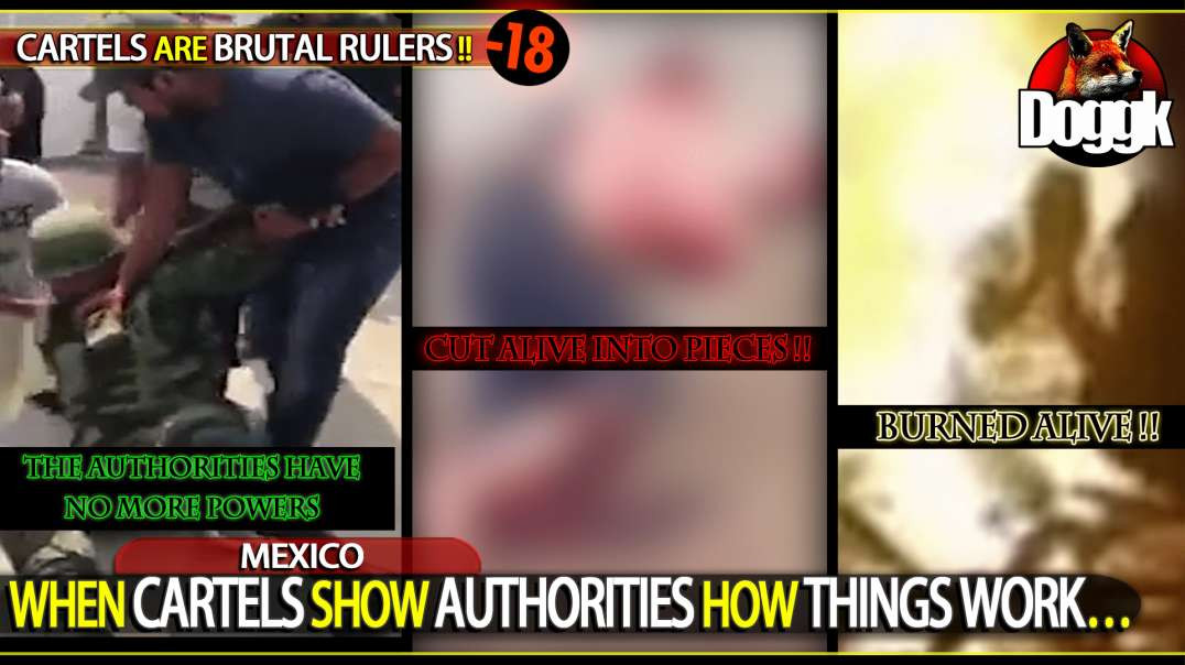 [+18] WHEN CARTELS SHOW AUTHORITIES HOW THINGS WORK.. (MEXICO)