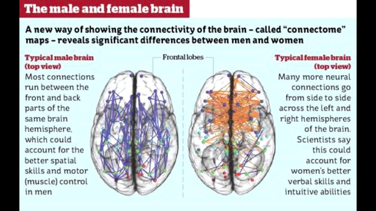 Emulating Female Behaviour: A Question Of Discernment