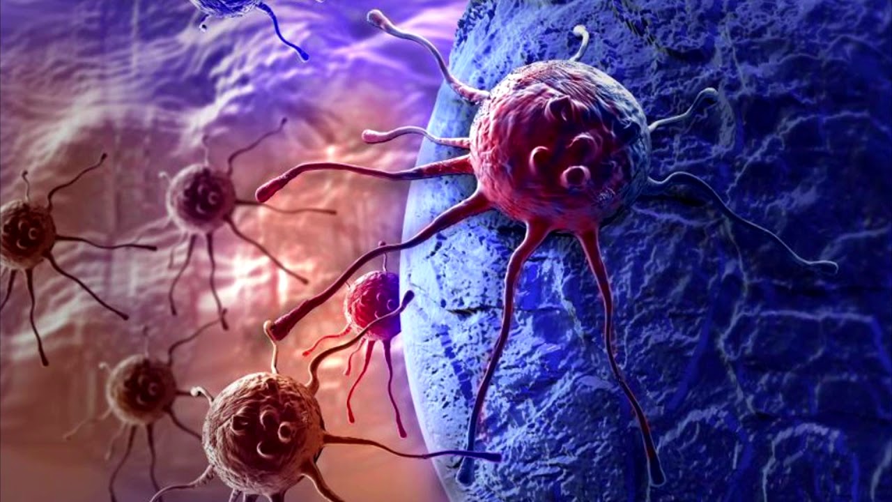 The Evolution Of Cancer And The State of Cancer Research