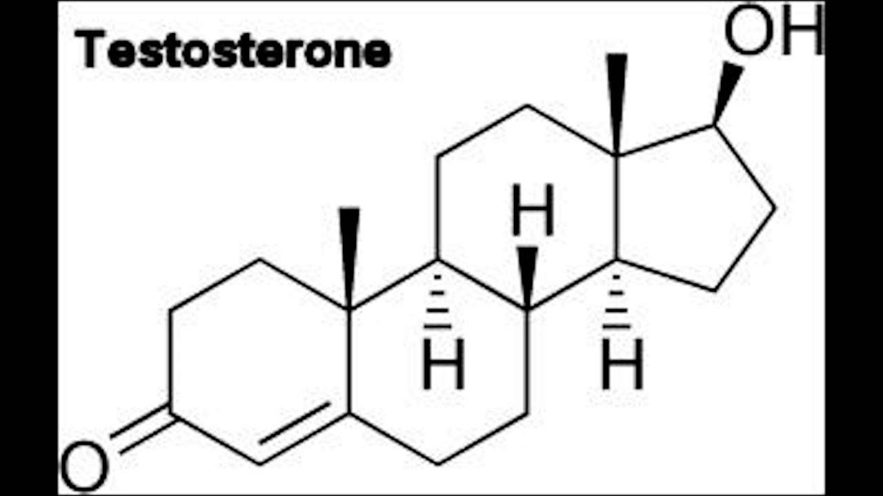 Requested Video: Separating out Specific Properties from Testosterone