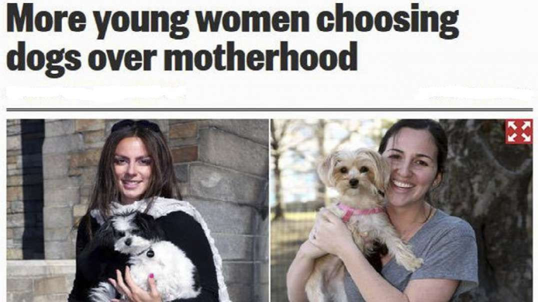 Women Now Have More Pets Than Kids - WTF!