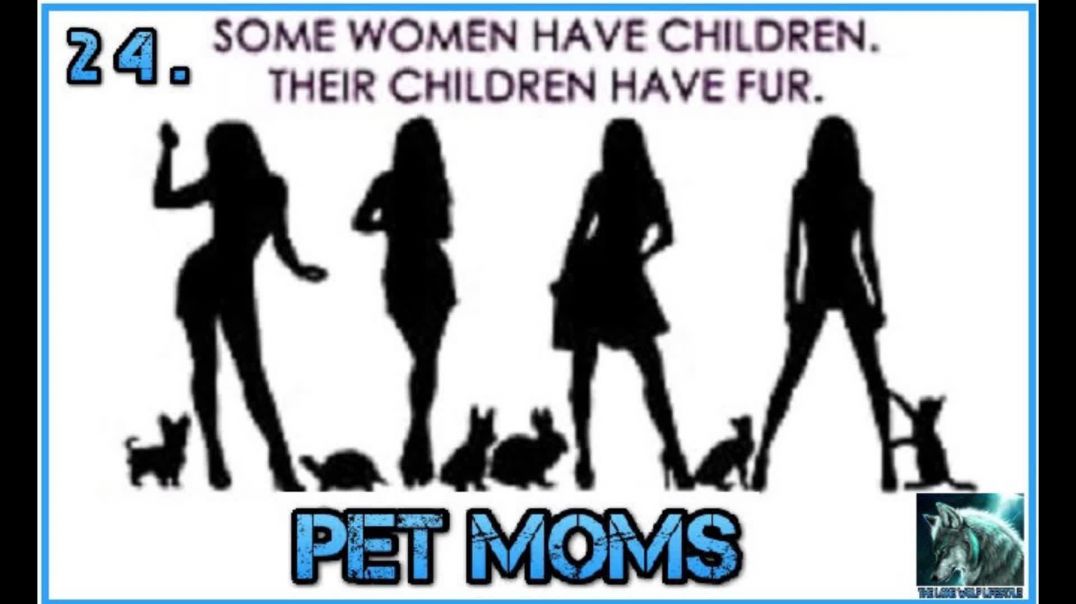 Pet mom's - Episode 24