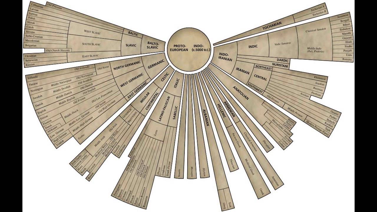 Requested Video: Evolution of Language