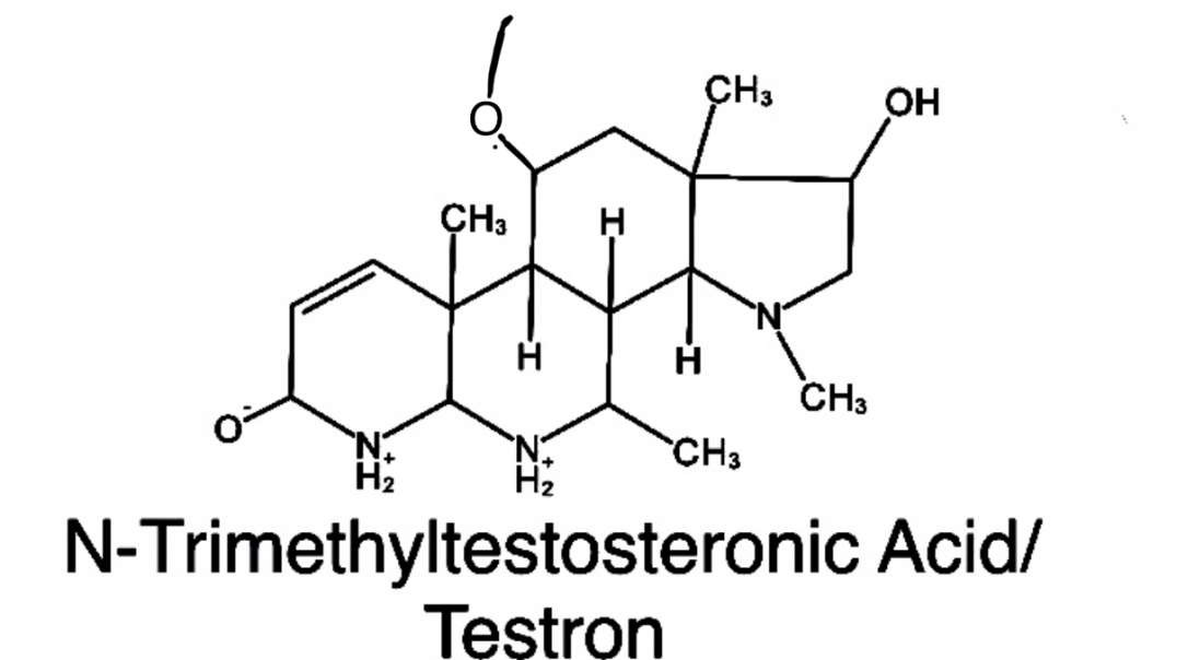 Experimental Testosterone Worked But Made By Cock Numb.