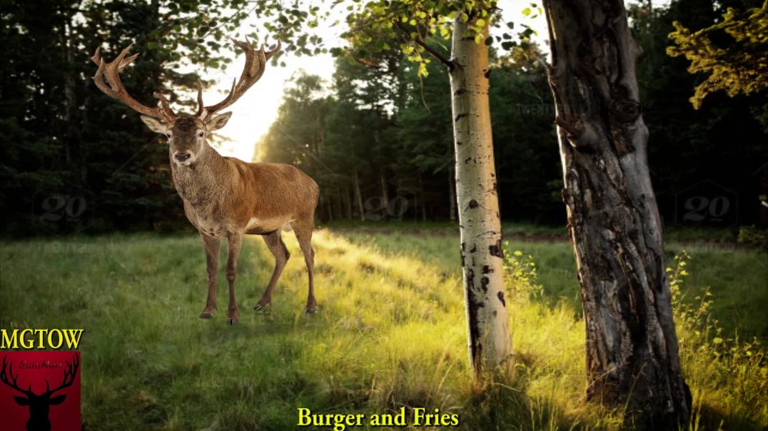 Burger and Fries