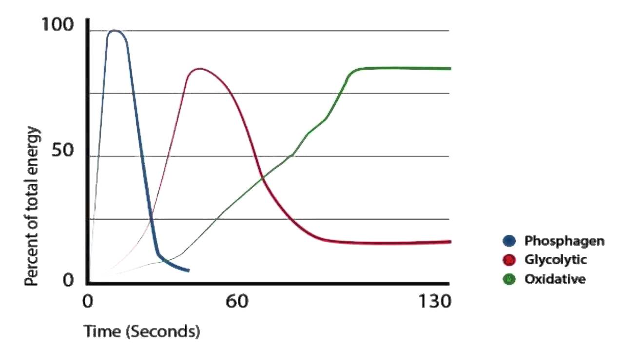 The Ketogenic Diet For Suboptimal Athletic Performance