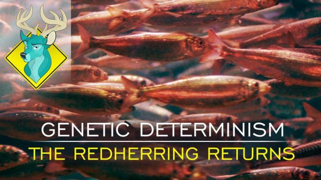 TL;DR - Genetic Determinism: The Red Herring Returns