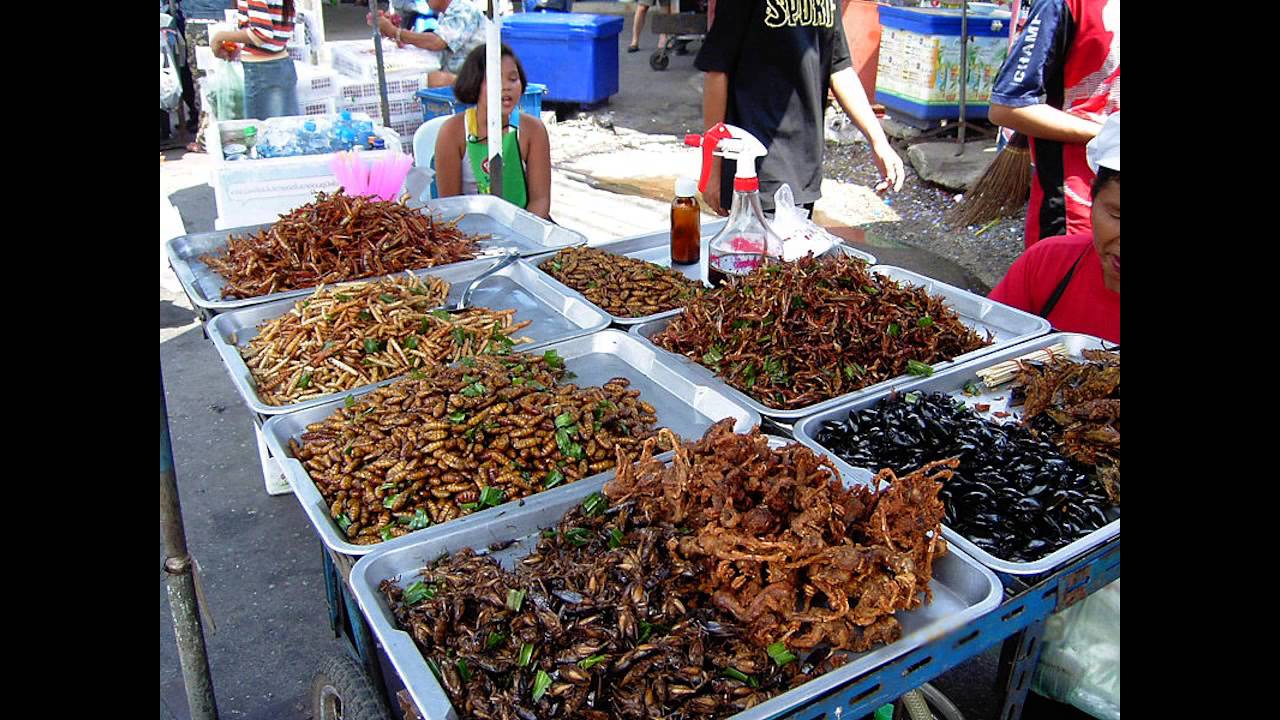 Entomophagy: eating insects for greater efficiency