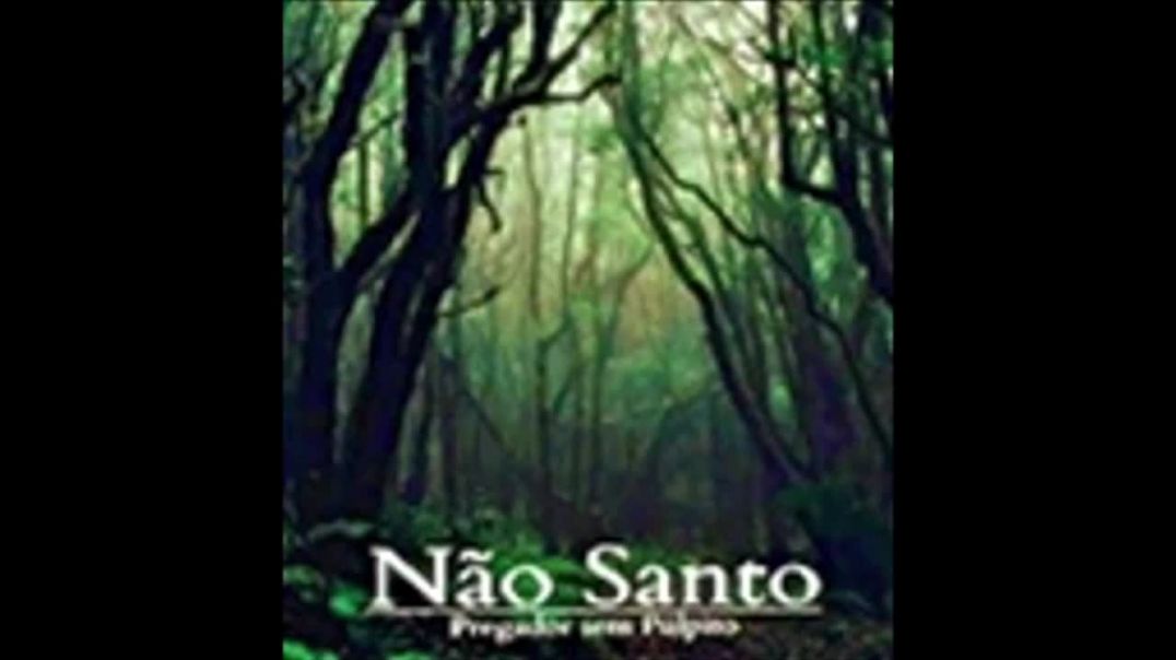 Não Santo | Pregador sem Púlpito, livro em análise