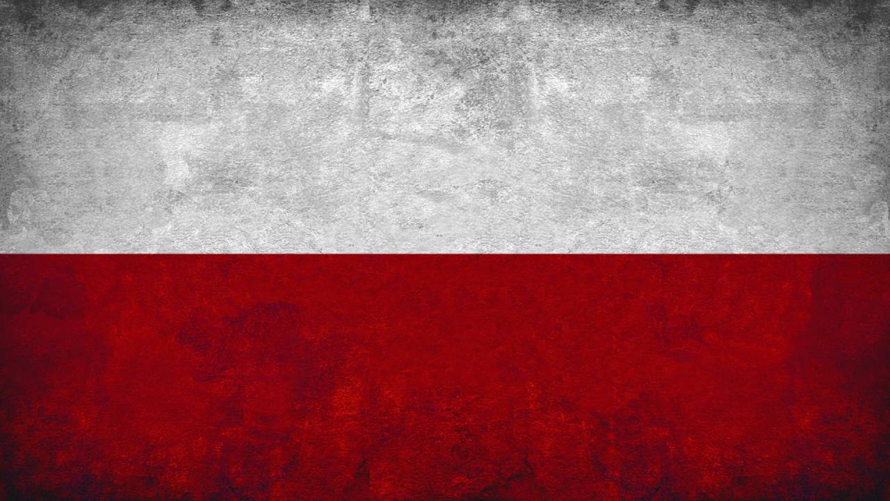 Perspectives: Poland, The EU And Beyond