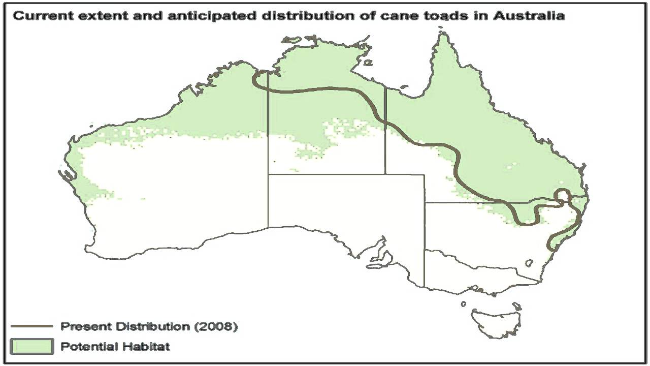 Invasive Species and Human Maladaptation