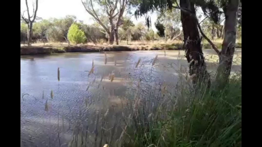 Fishing and Swimming in The Channel