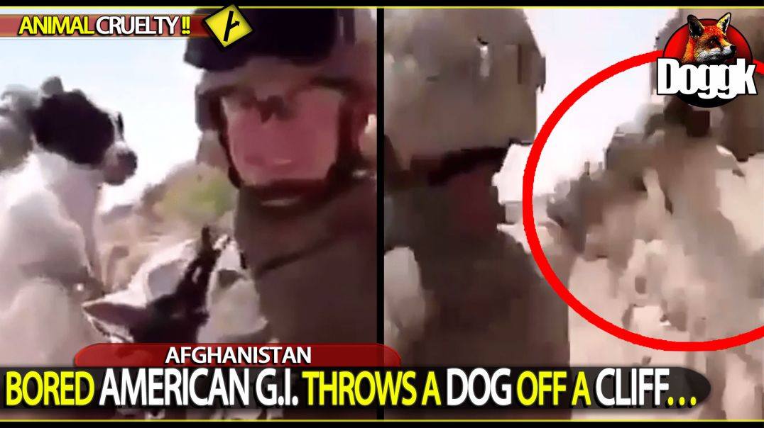 BORED AMERICAN G.I. THROWS A DOG OFF A CLIFF.. (AFGHANISTAN)