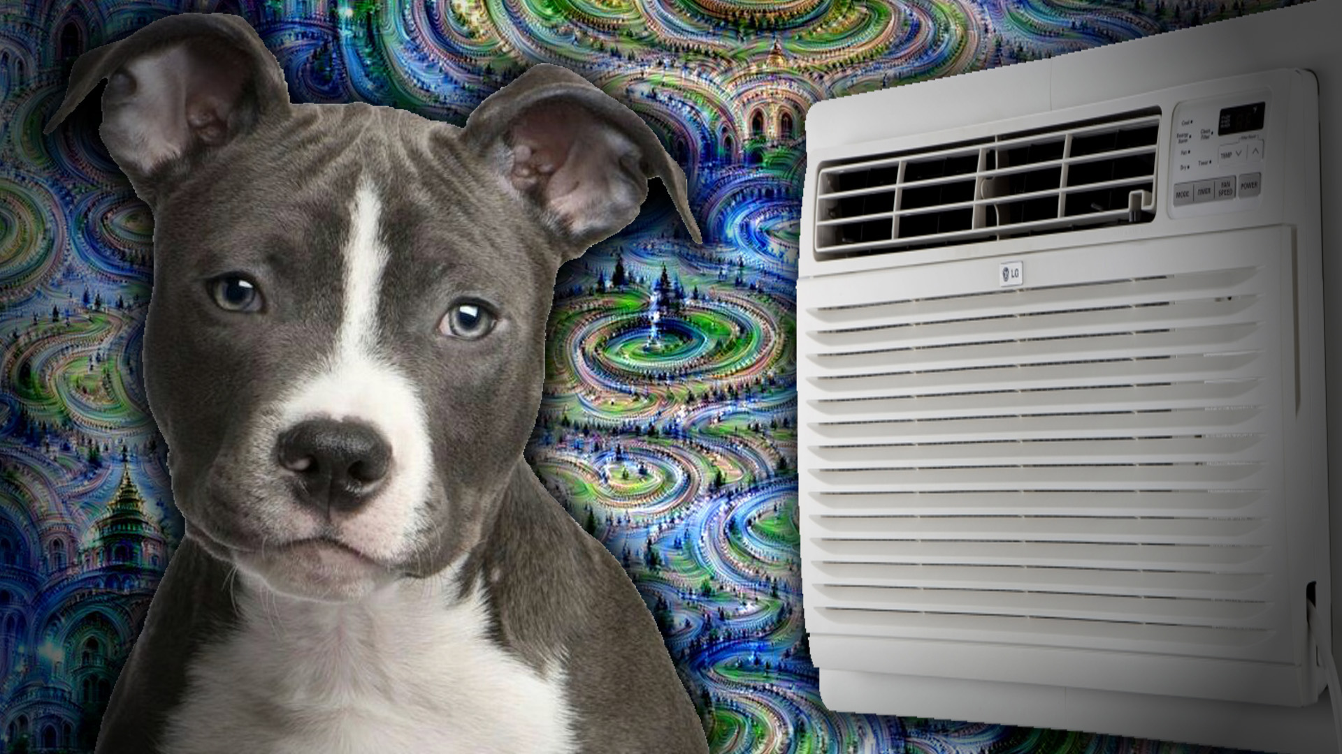 Dogs, AI, and Airconditioning