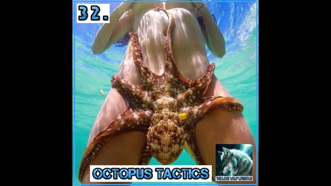 What are Chameleon/Octopus tactics, mirroring, and love bombing? - Episode 32