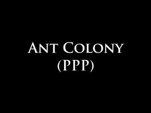 Black Pill - Ant Colony (PPP)