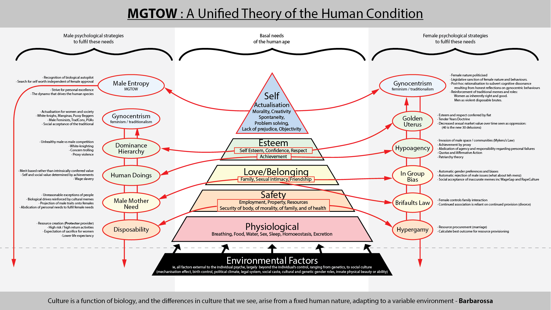 MGTOW: A Unified Theory