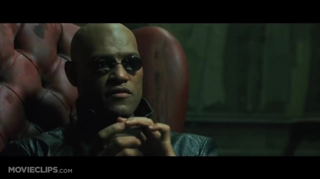 Blue Pill or Red Pill - The Matrix -29- Movie CLIP -1999- HD