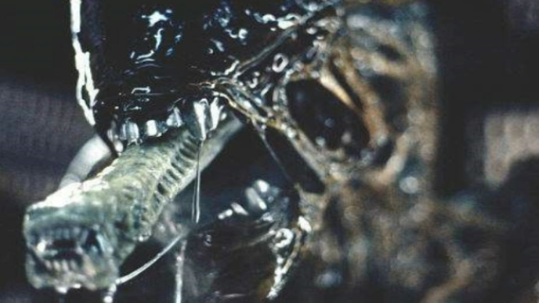 98.Alien (Top Horror Killers Villains Antiheroes)