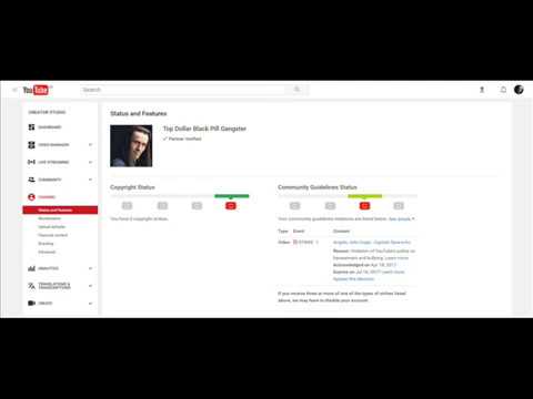 YouTube censorship & Alt Right false flagging