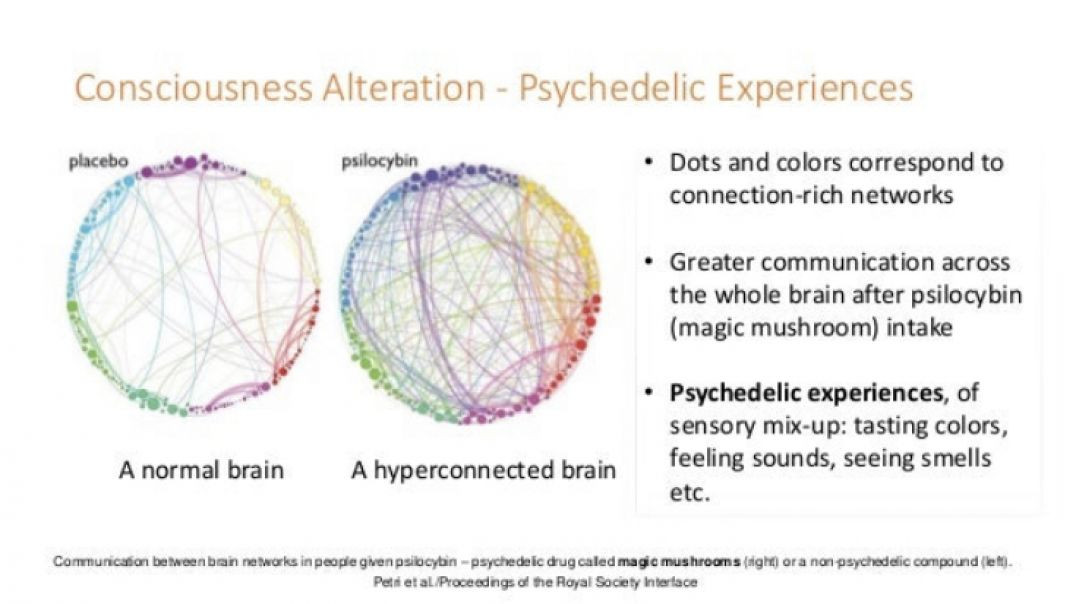 Psychedelic Medicine, Learning Self Discipline + My Reply To (No Magic Mushrooms - ShadowMonk)