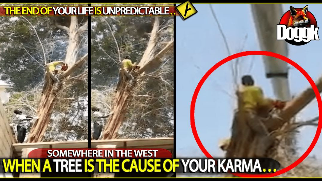 WHEN A TREE IS THE CAUSE OF YOUR KARMA.. (SOMEWHERE IN THE WEST)