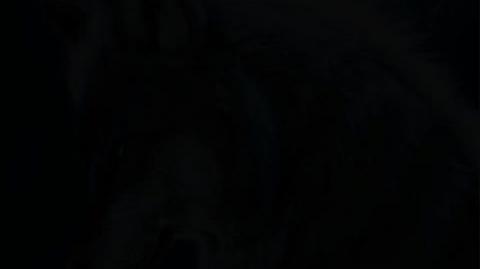 Most women lack impulse control